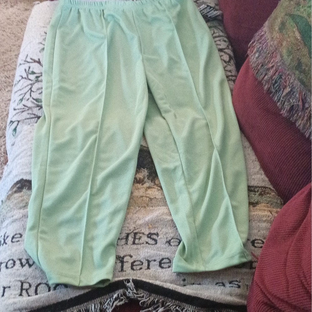 Woman Within Womens Green Solid Petite Pants Size 20W Plus Size Elastic Waist